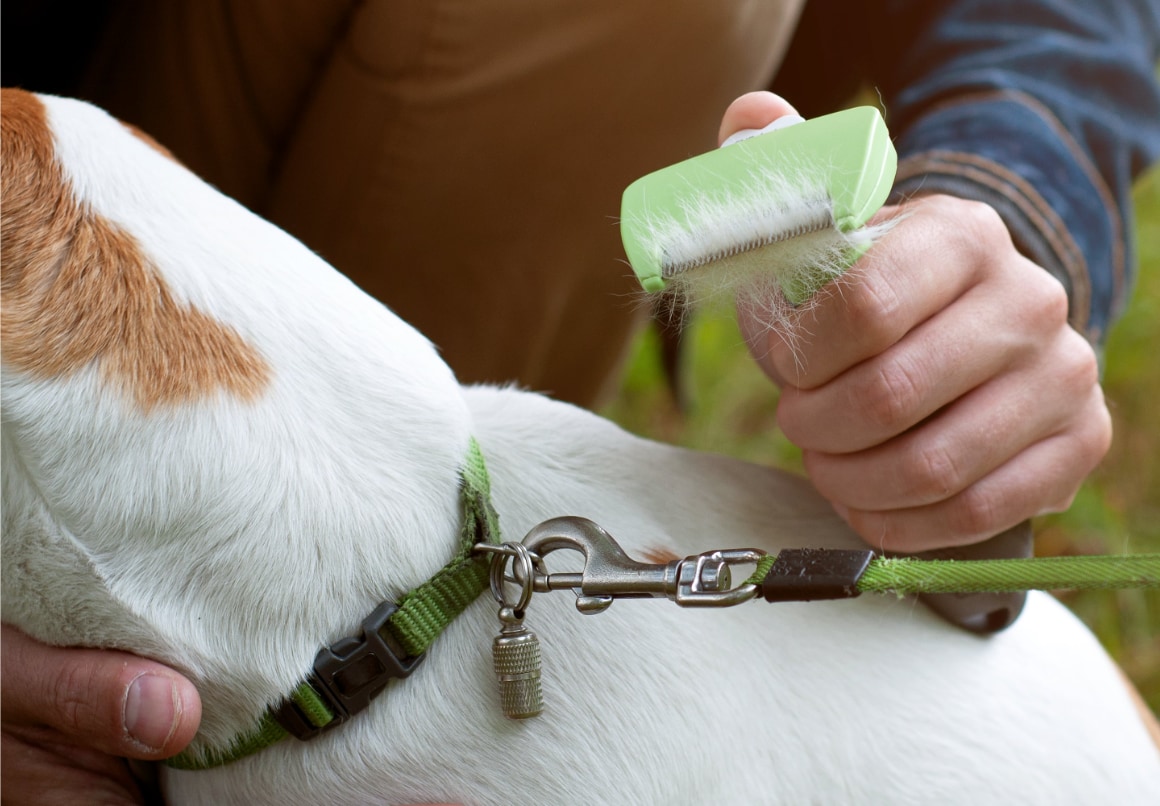 Hondenharen verwijderen met furminator