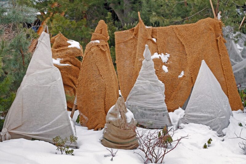 Planten beschermen tegen vorst ws01v01 891364652 scaled