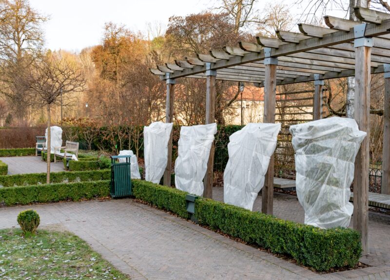 Vliesdoek in de tuin: zo bescherm je kwetsbare planten