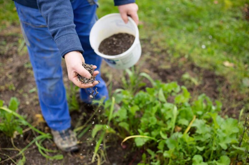 Wanneer de tuin bemesten ws01v01 1226563406 scaled