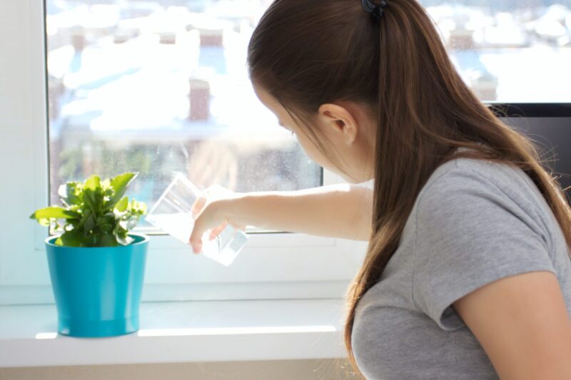Water gekookte eieren planten ws01v01 34114504 scaled